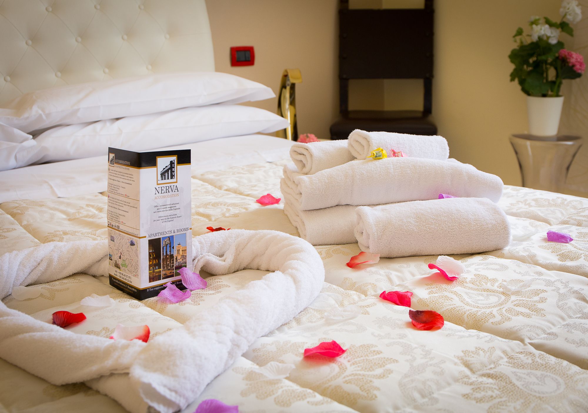 Фото Nerva Accommodation