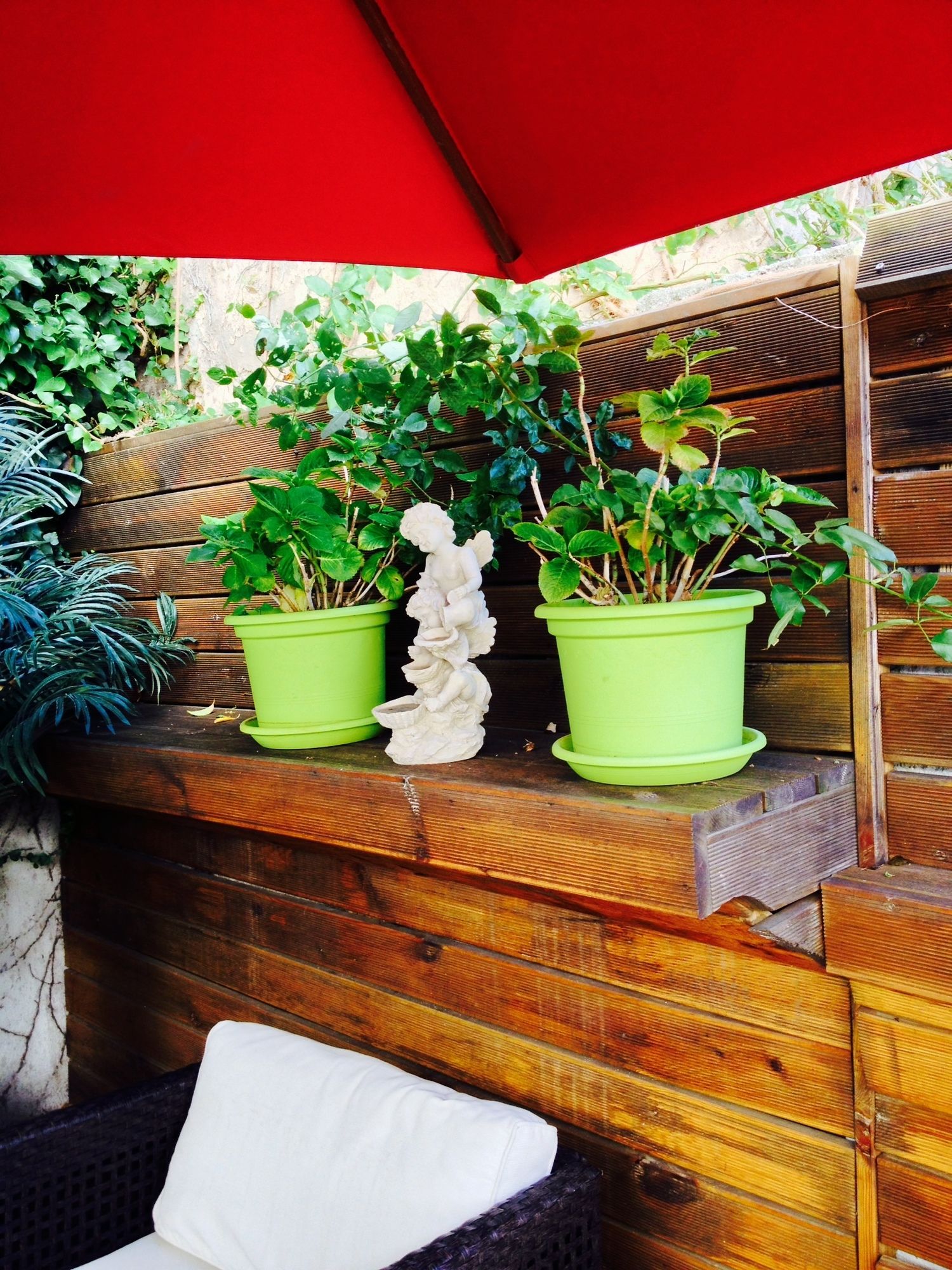 Фото Hôtel Bellevue Cannes