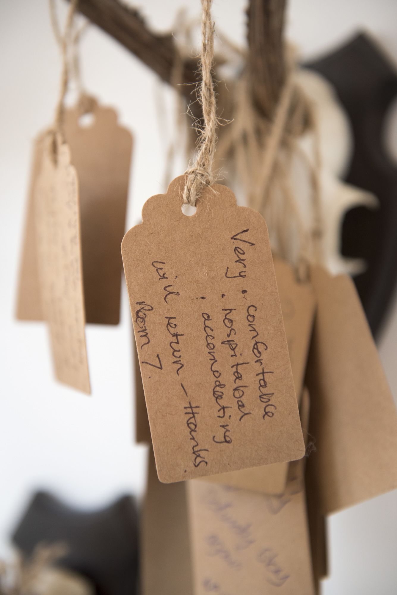 Фото Jorvik House