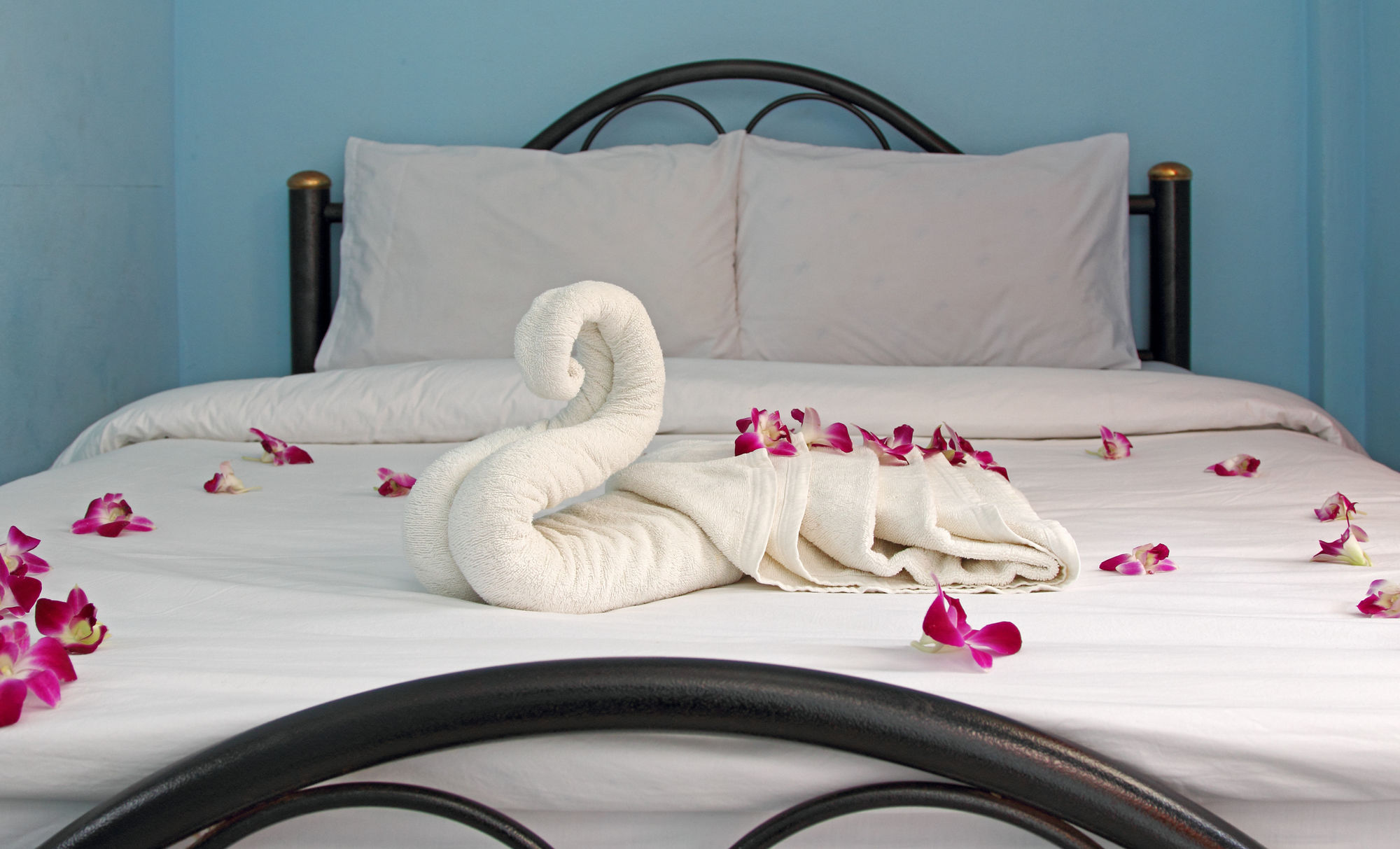 Фото Gypsy Bungalow