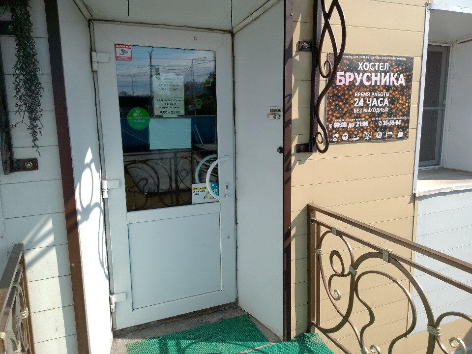 Фото Брусника