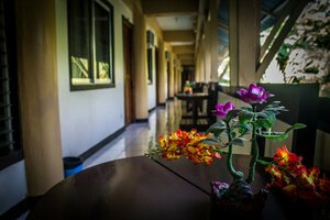 Гостиница Remari Tourist Inn