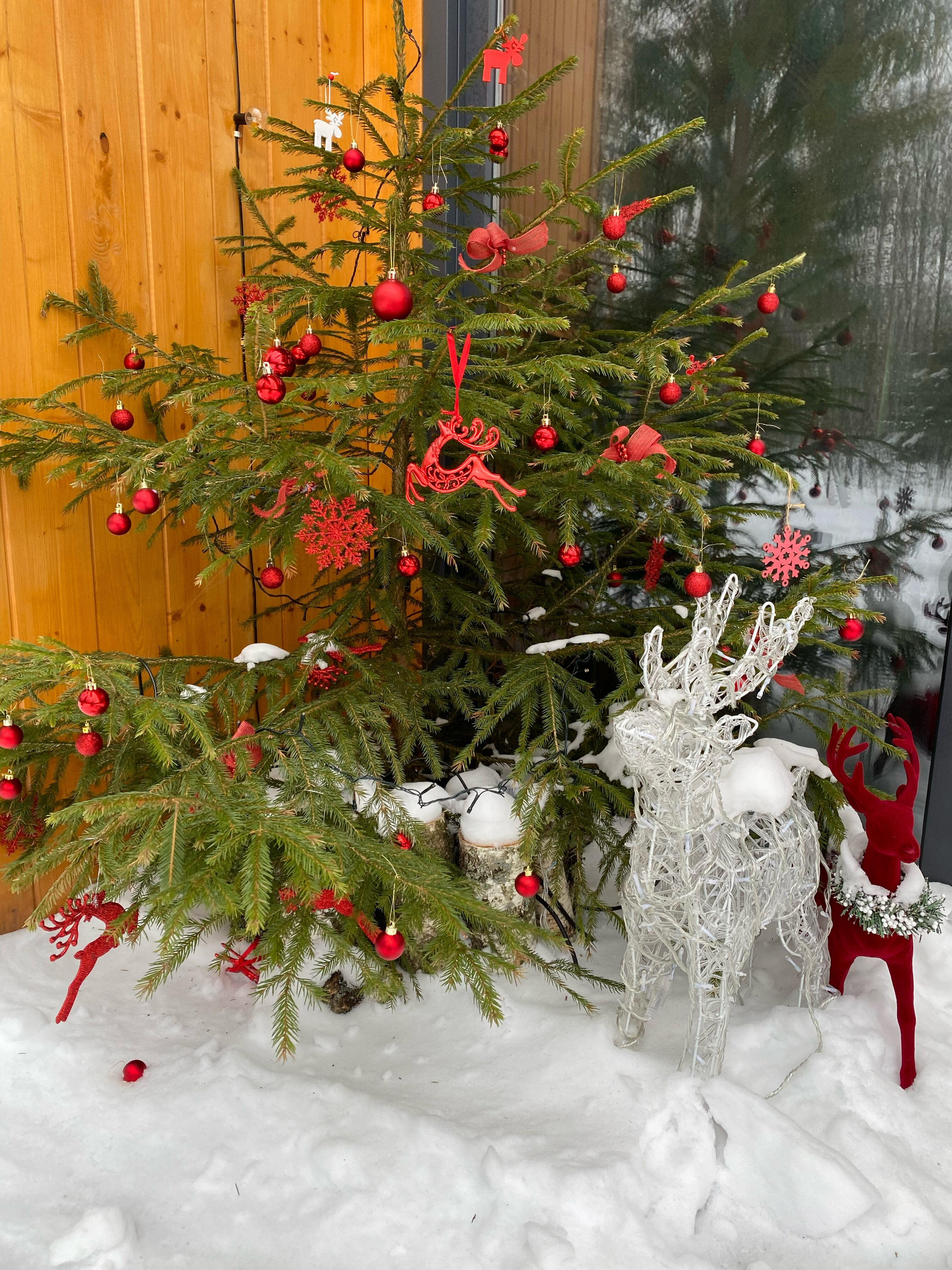 Фото Амбарн