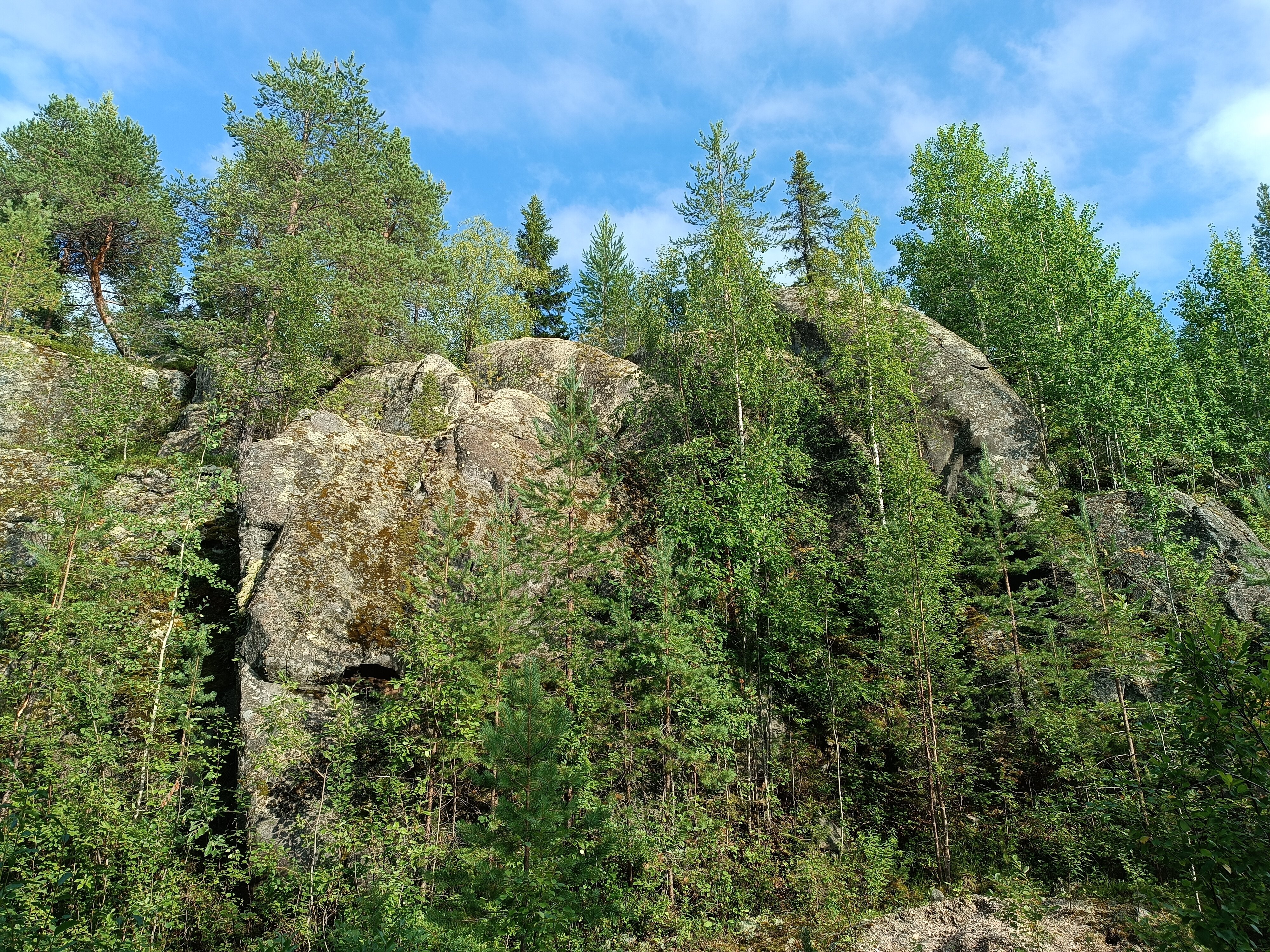 Фото Нереис