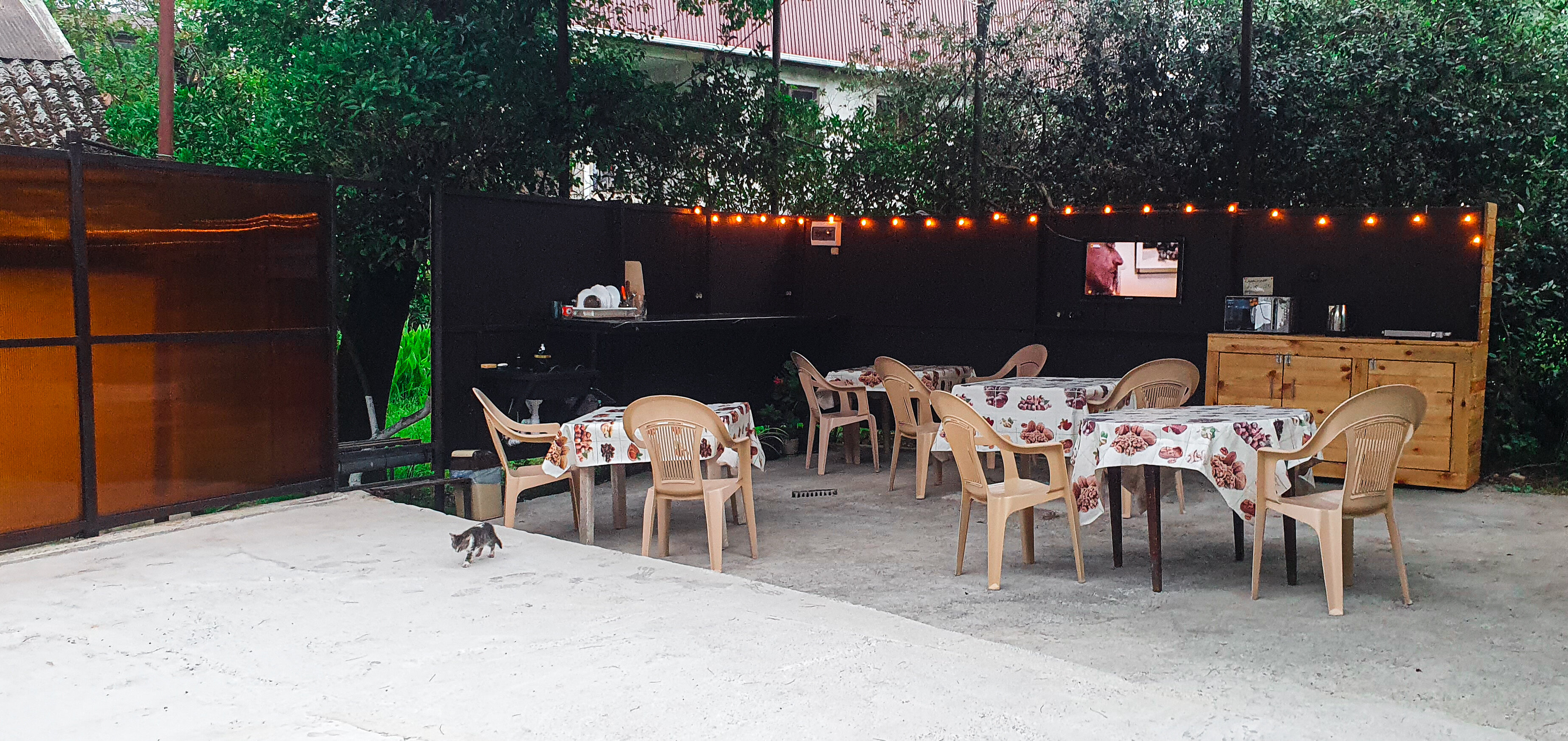 Фото Гостевой дом Пальма