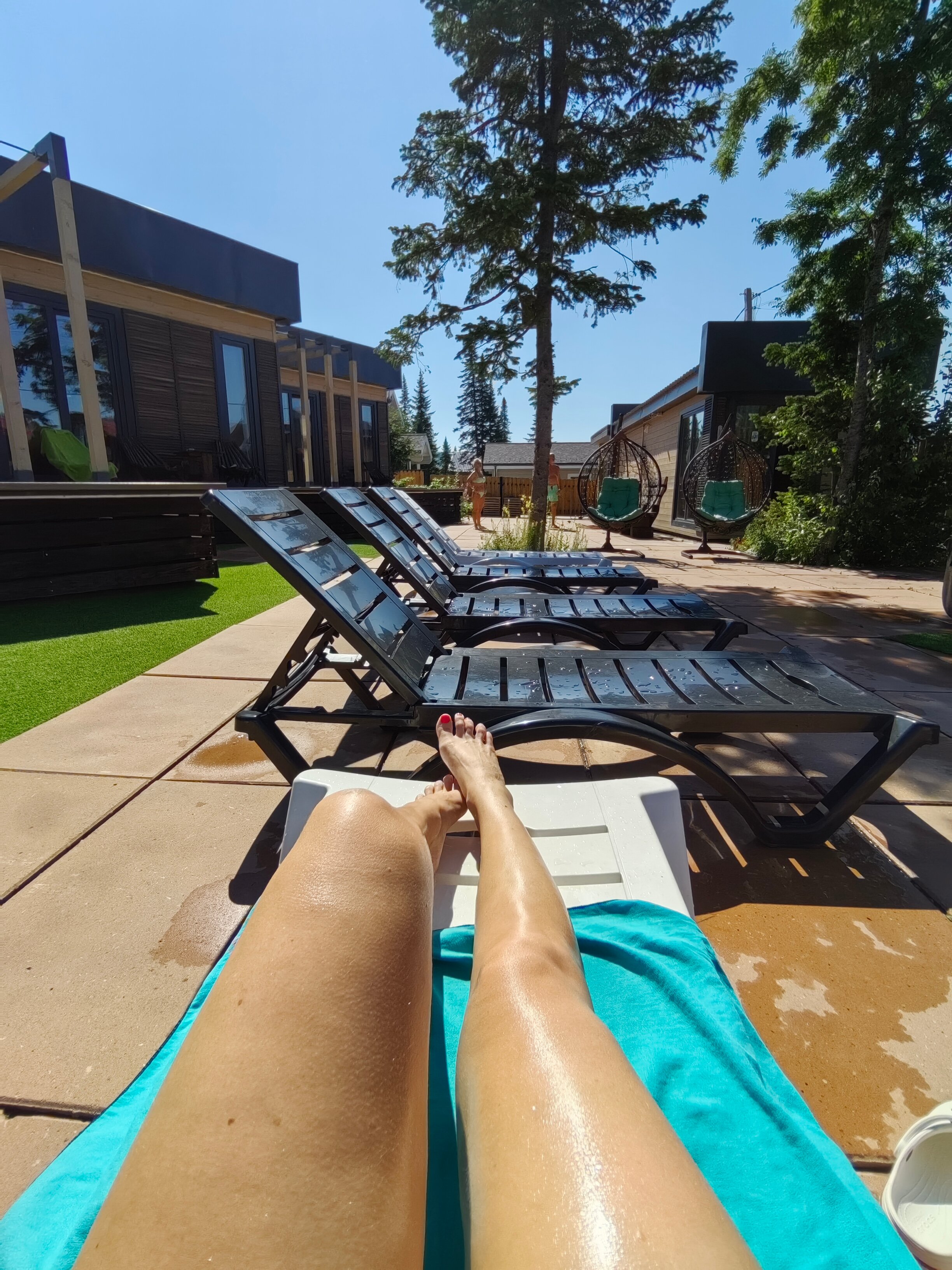 Фото Сканди