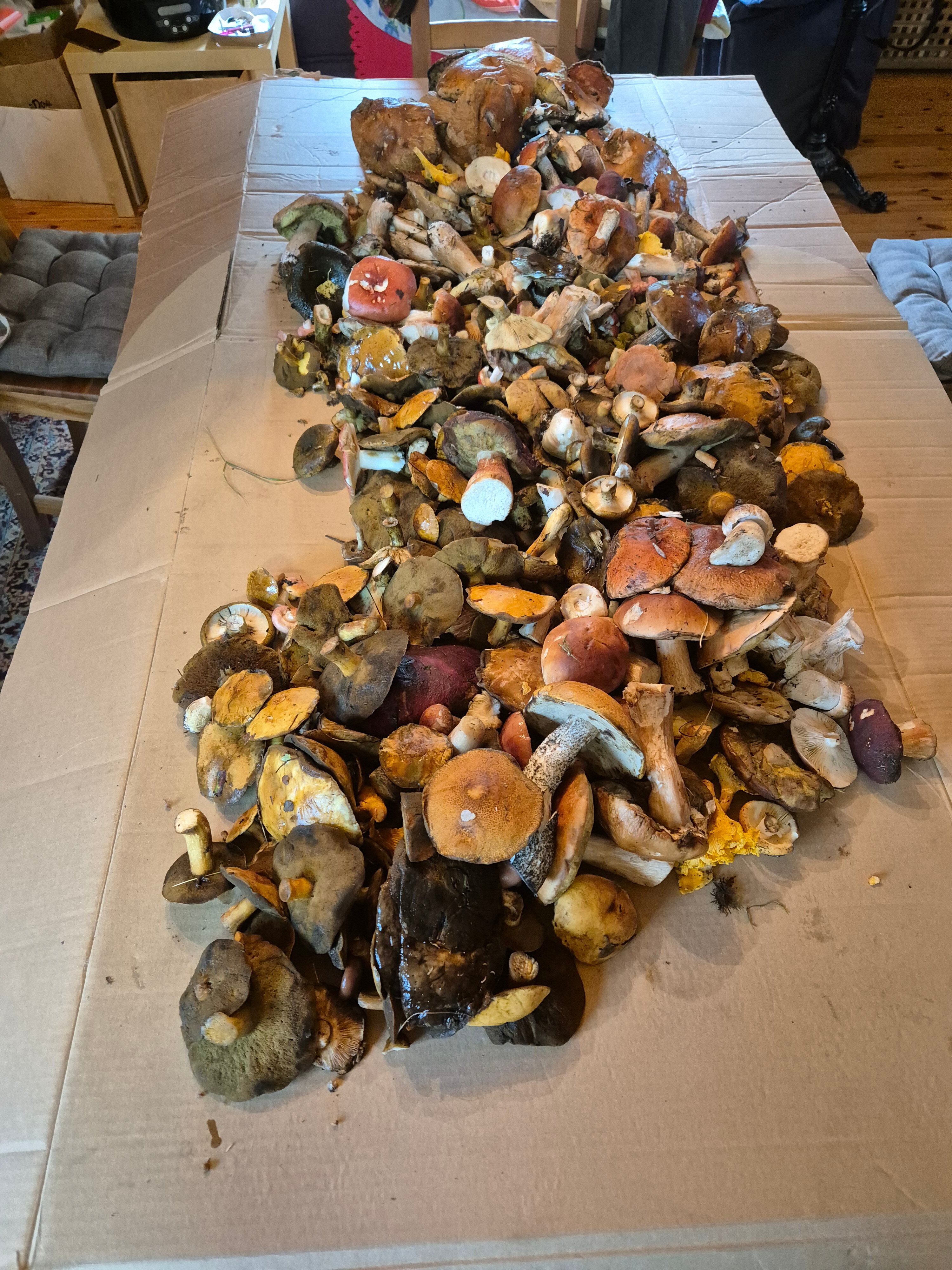 Фото Усадьба Каялина