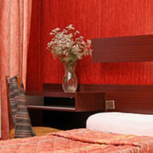 Гостиница Hotel Camelia International