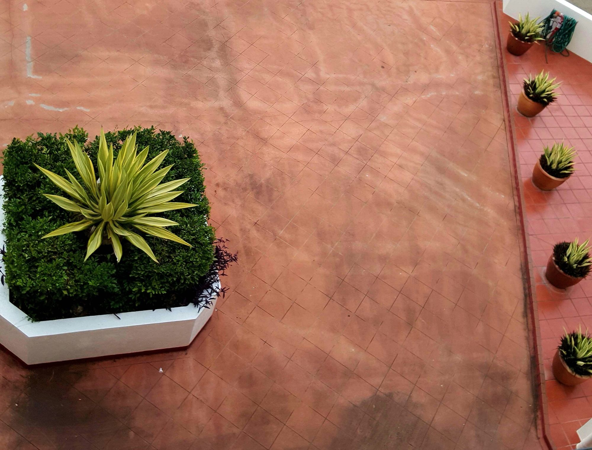 Фото Golden Sands Beachfront Apartment Resort