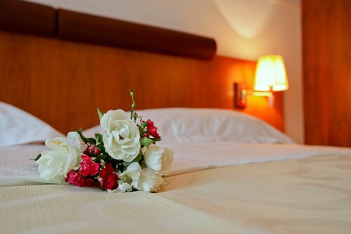 Гостиница Hotel Croatia в Загребе