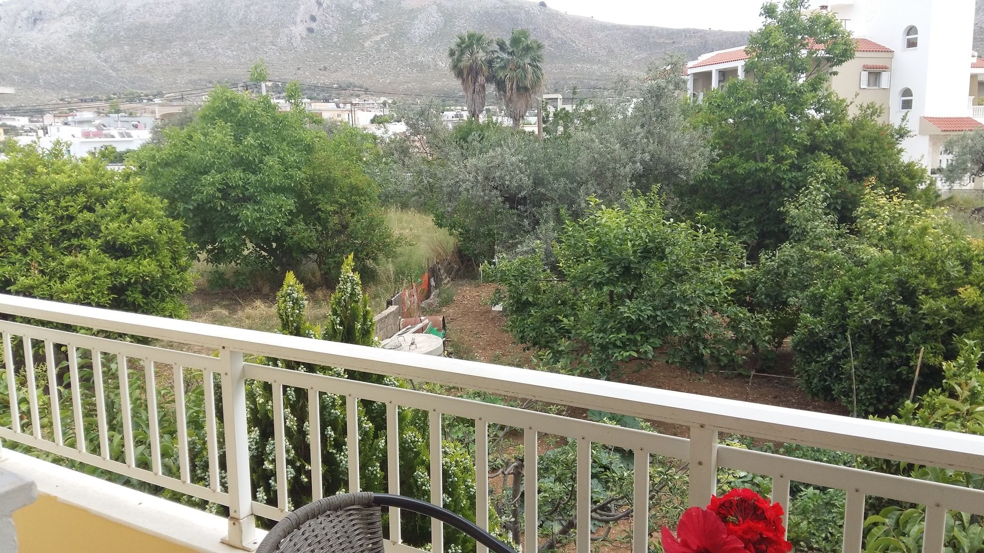 Фото Pantheon Deluxe Apartments