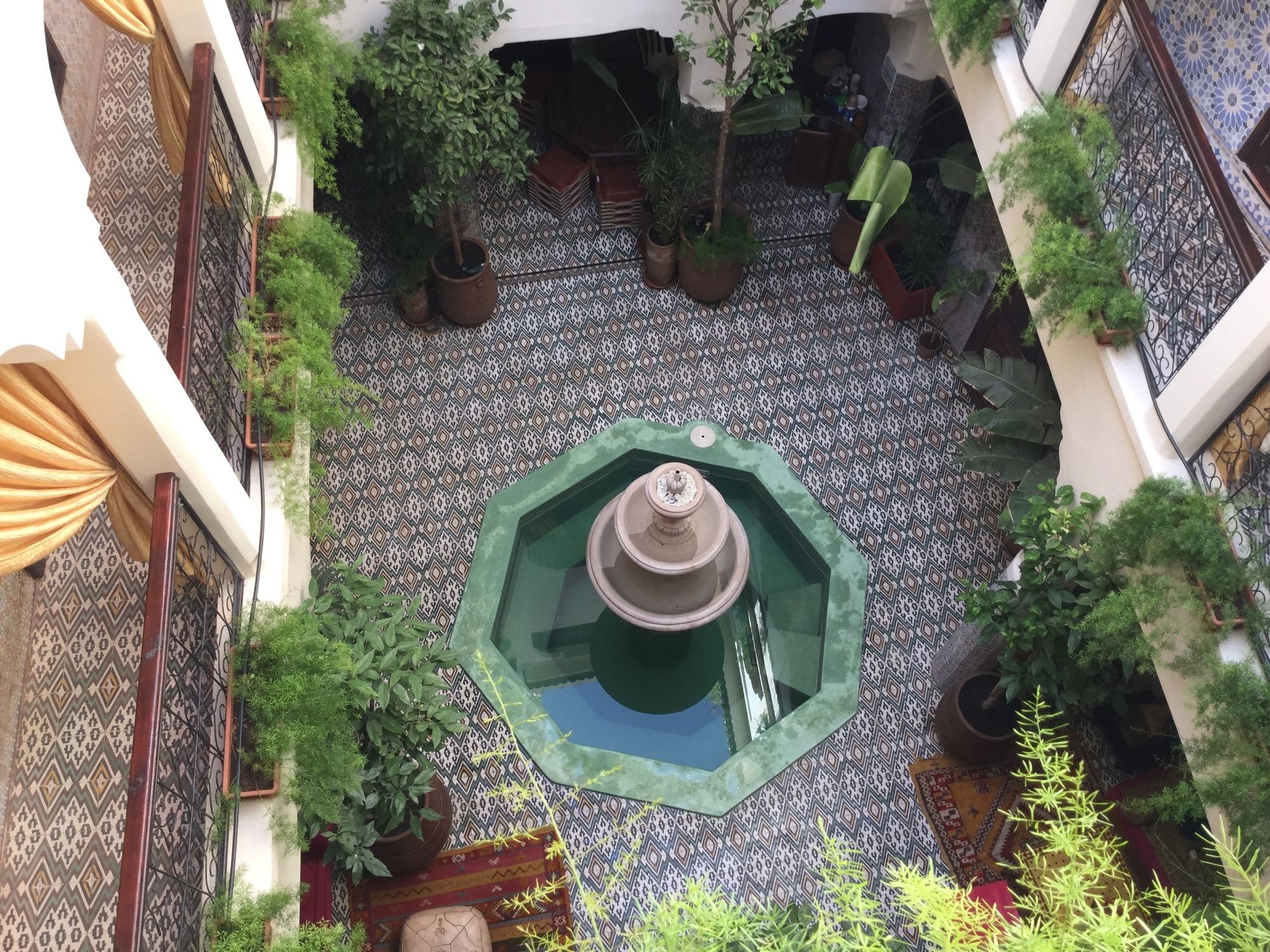 Фото Abélia Riad