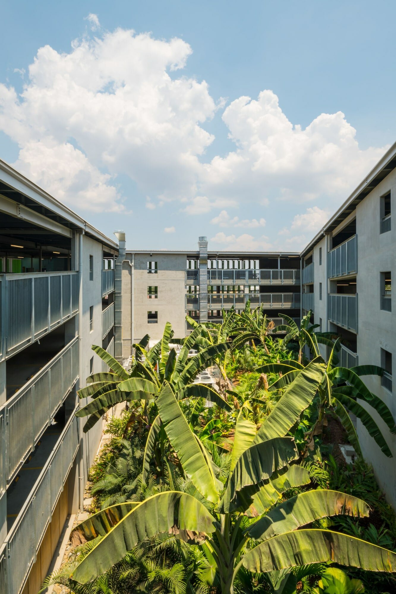 Фото Hilton Port Moresby