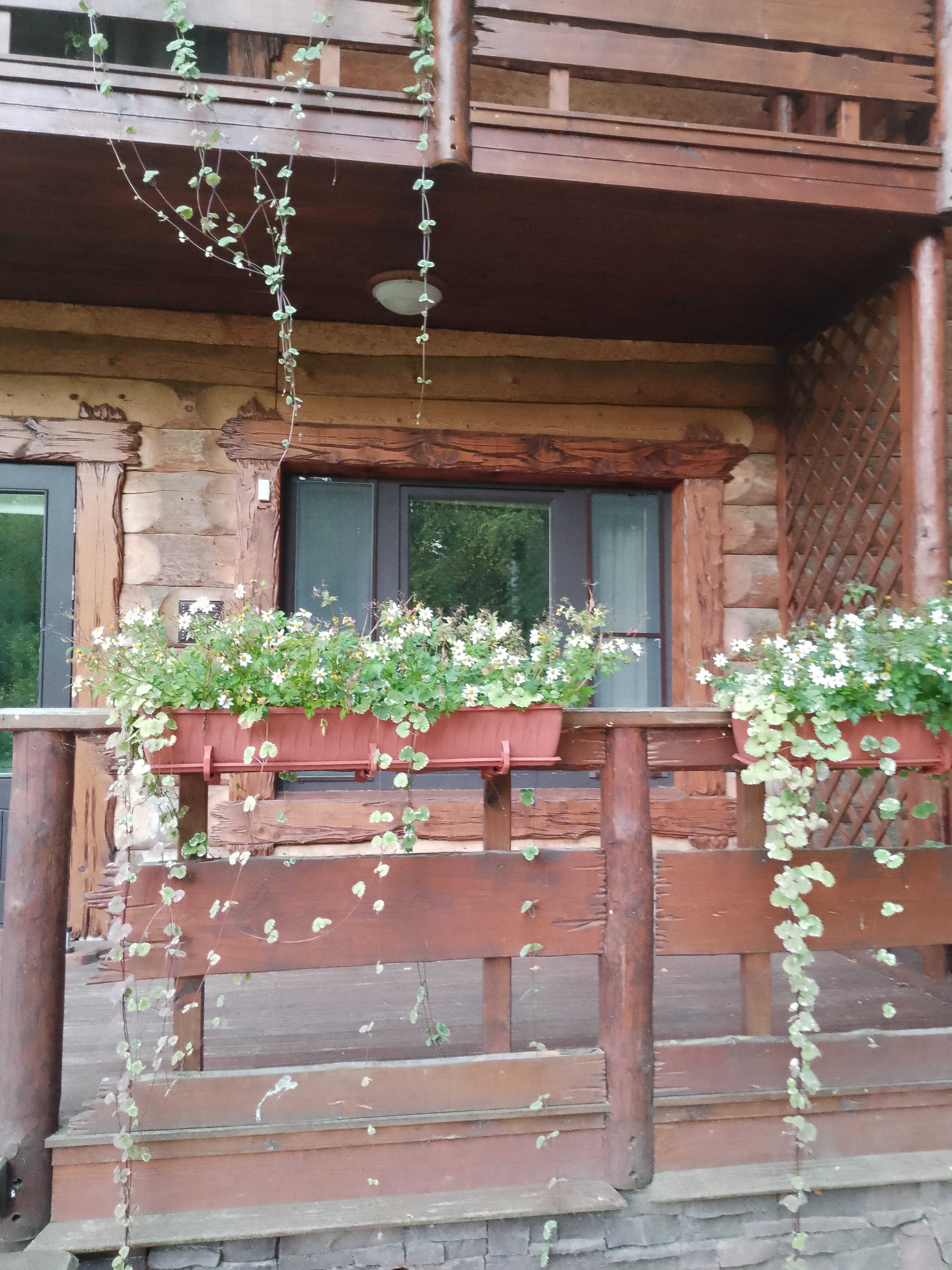 Фото Волжский фермер