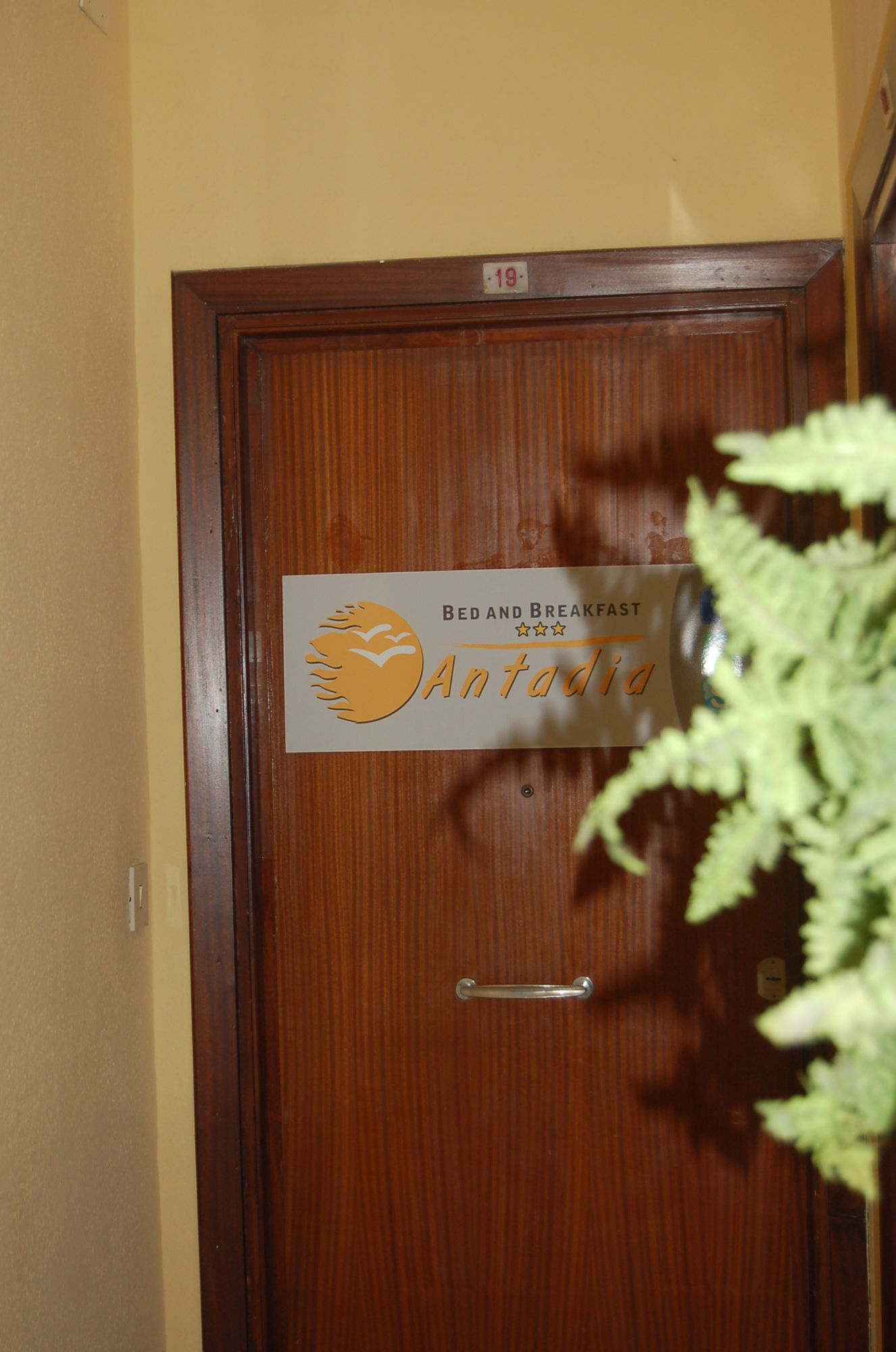 Фото Antadia B&b