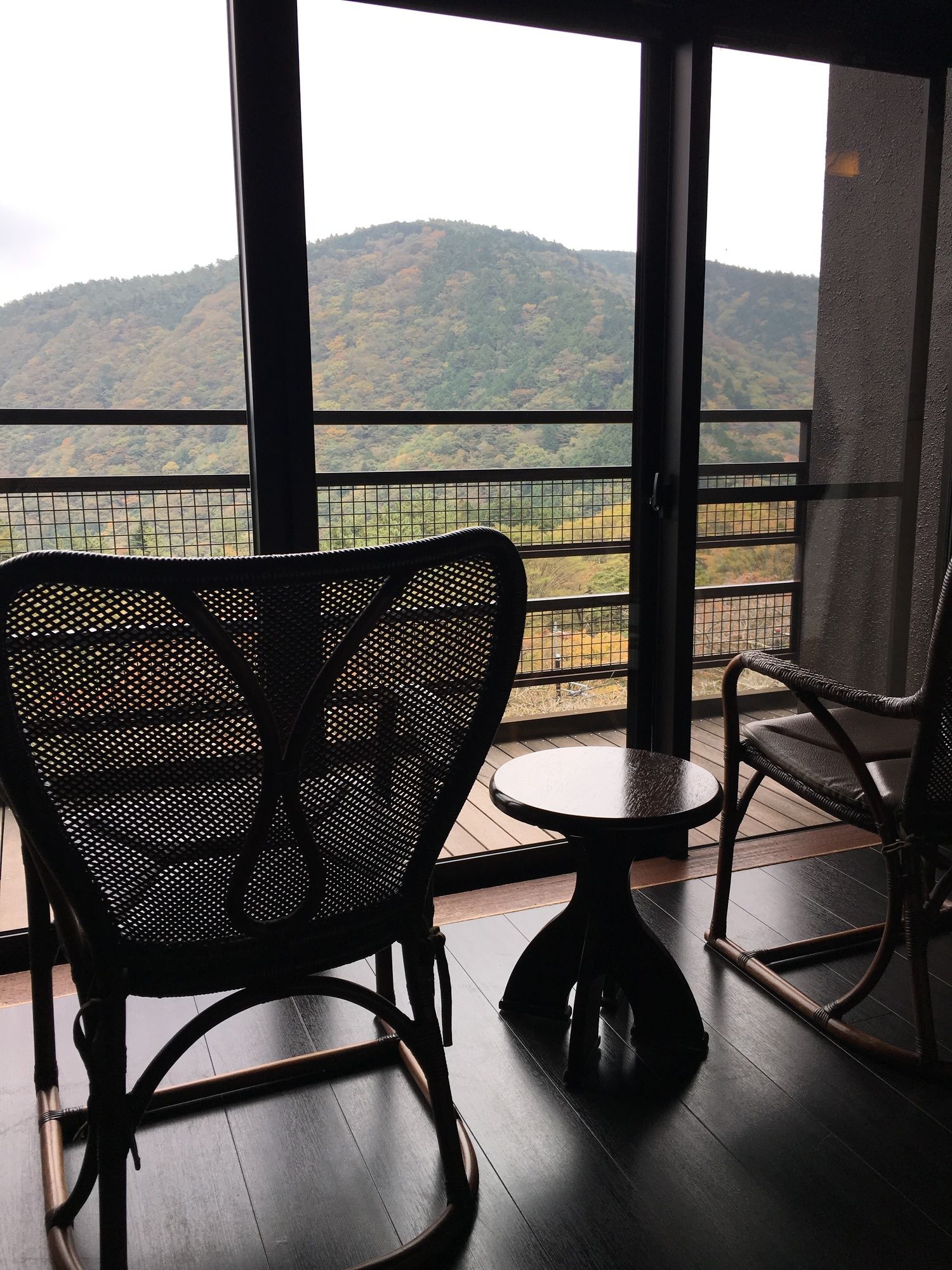 Фото Hakone Kowakien Mikawaya Ryokan