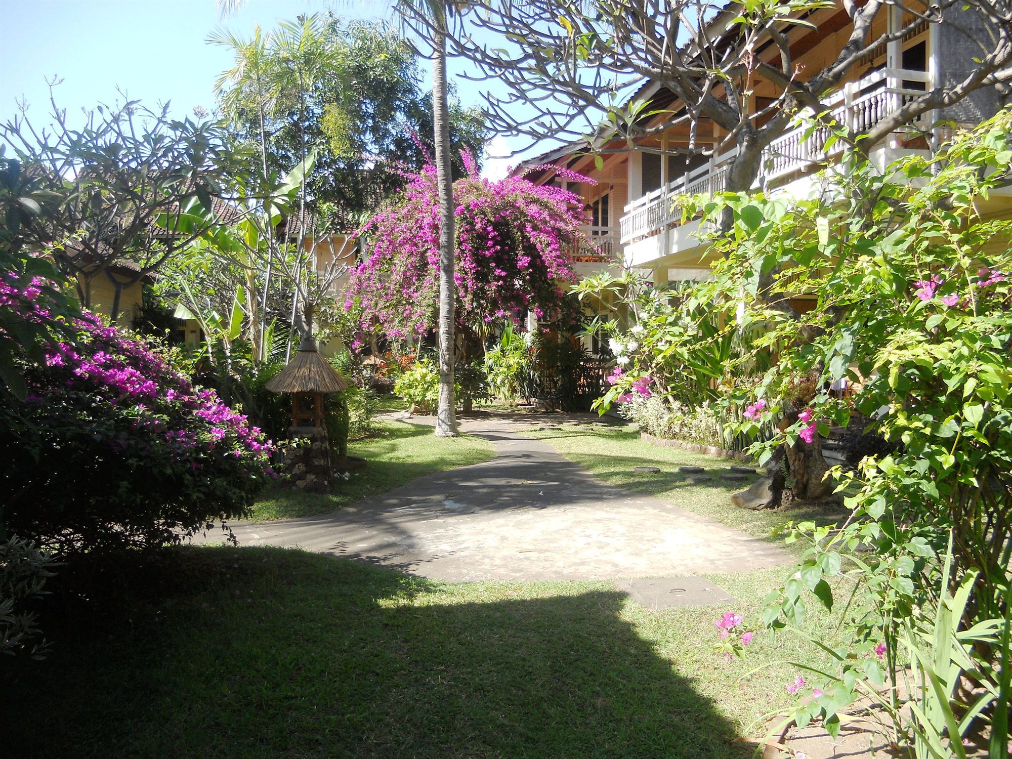 Фото Bali Lovina Beach Cottages
