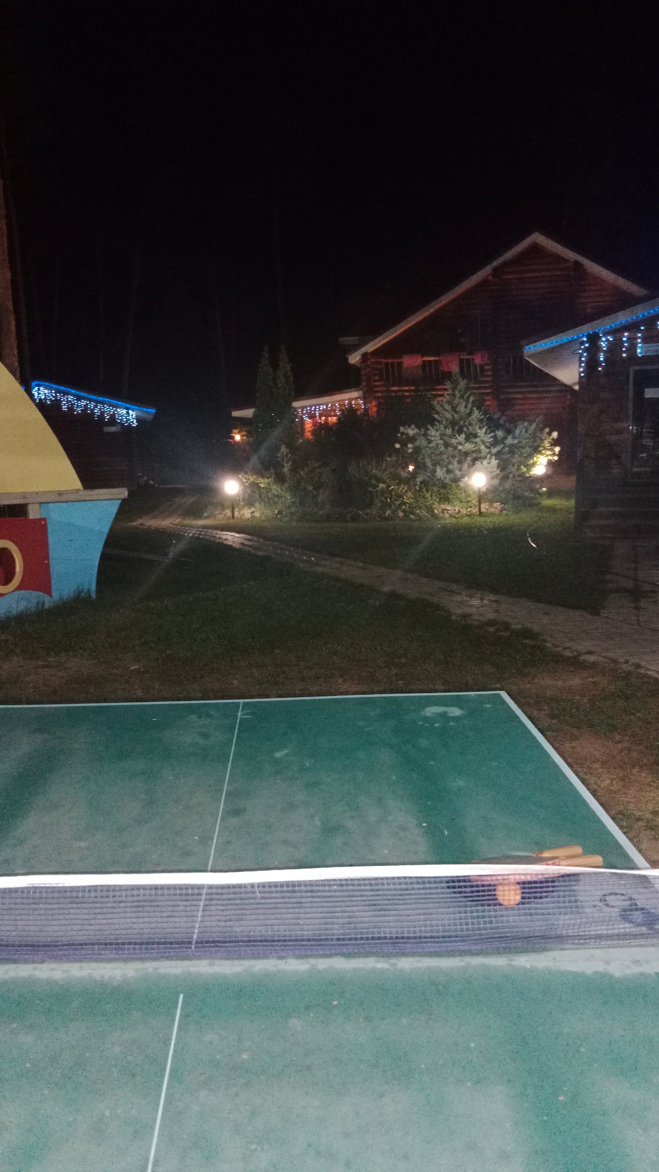 Фото Лесная гавань