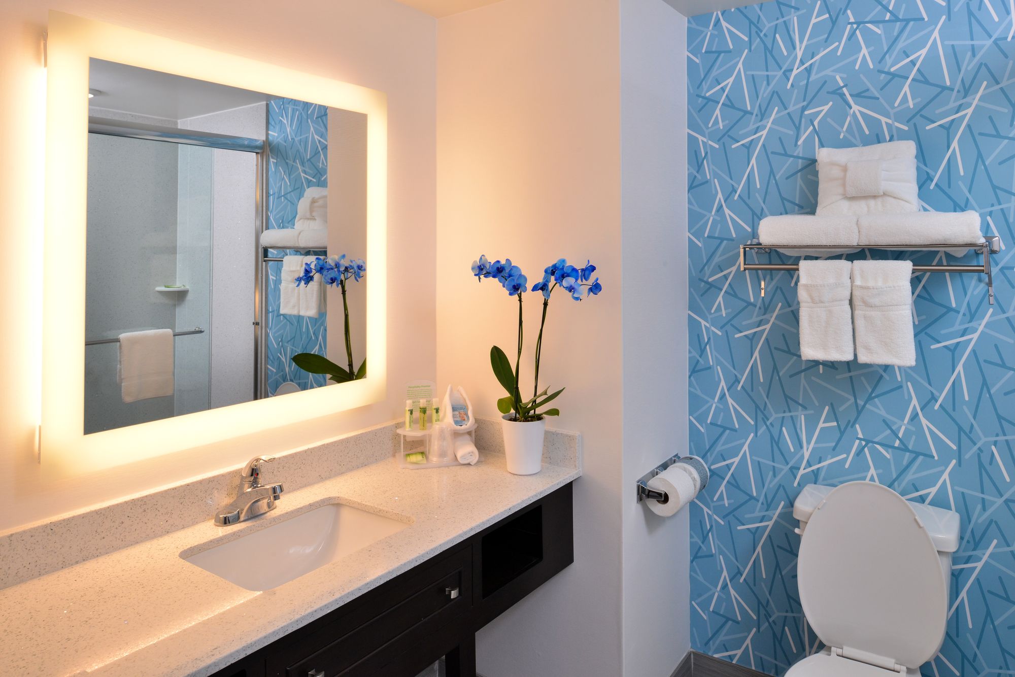 Фото Holiday Inn Express & Suites West Ocean City, an Ihg Hotel