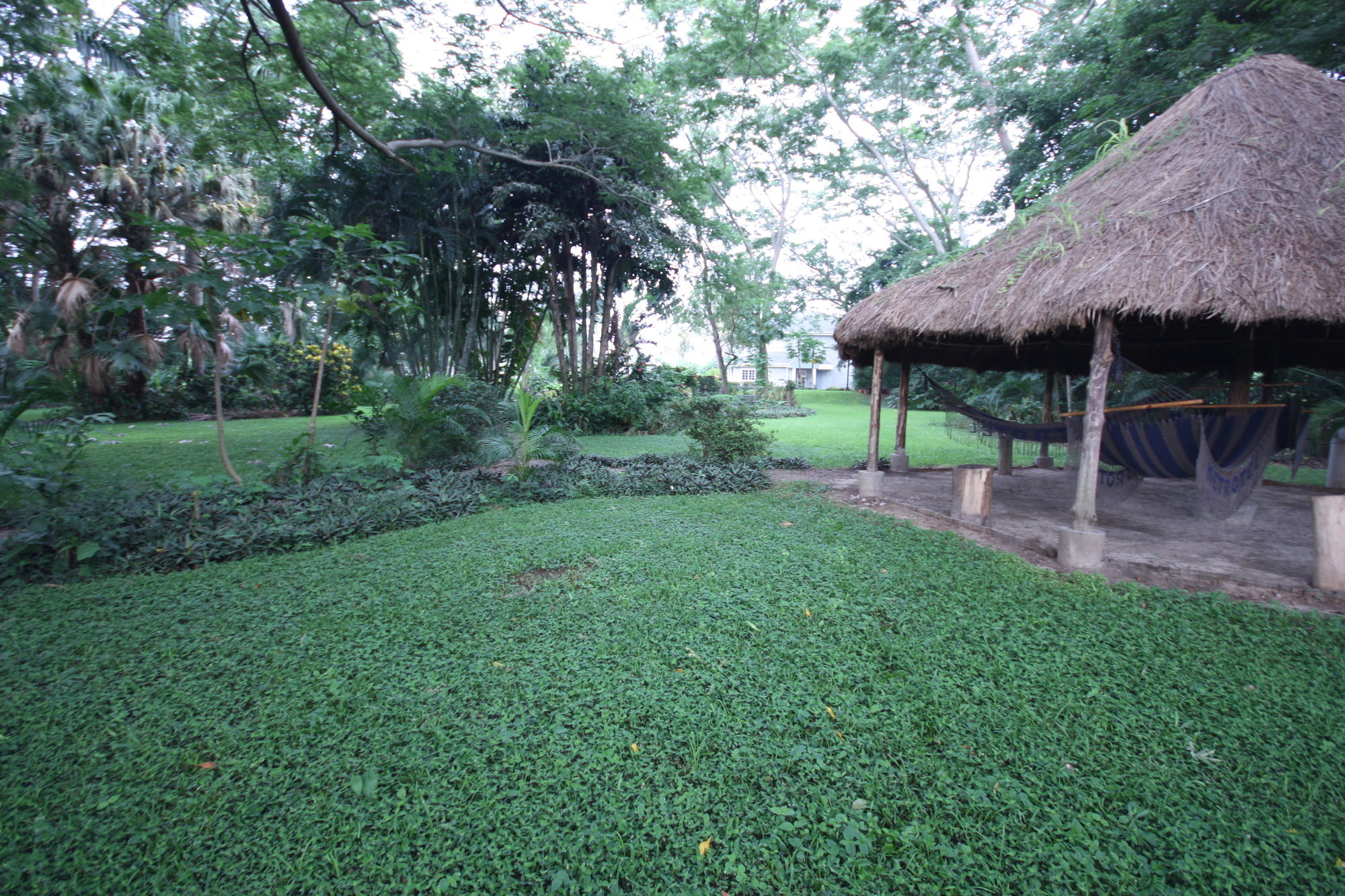 Фото Metrotel Express