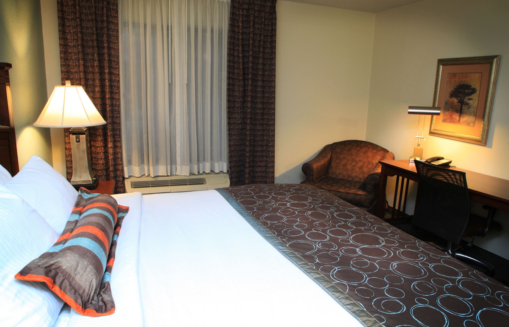 Фото Staybridge Suites Columbia, an Ihg Hotel