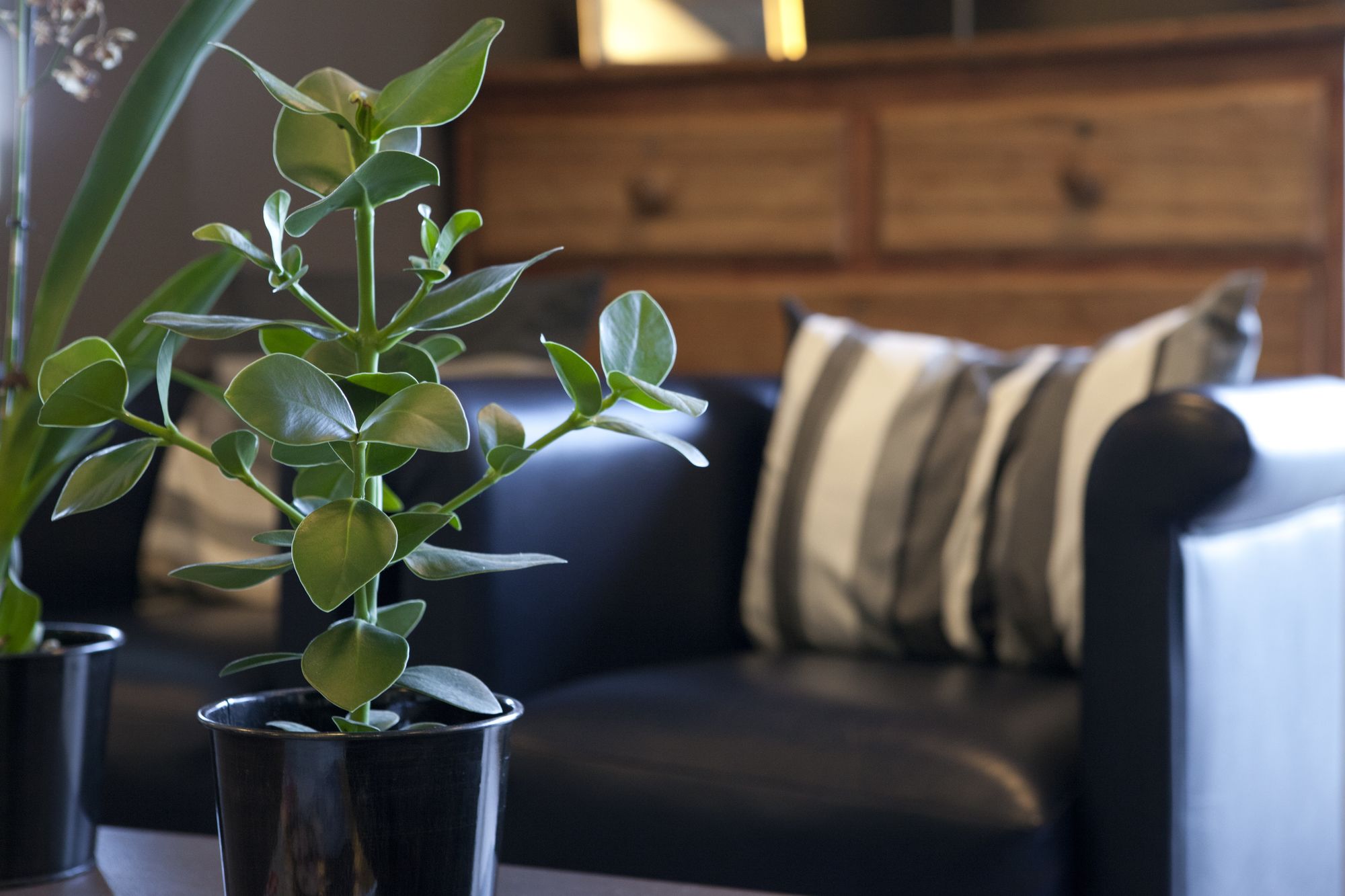 Фото Villa Bellagio Hôtels & Résidences