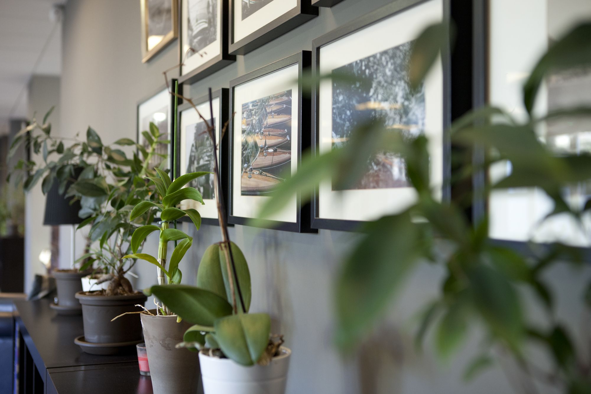 Фото Villa Bellagio Hôtels & Résidences