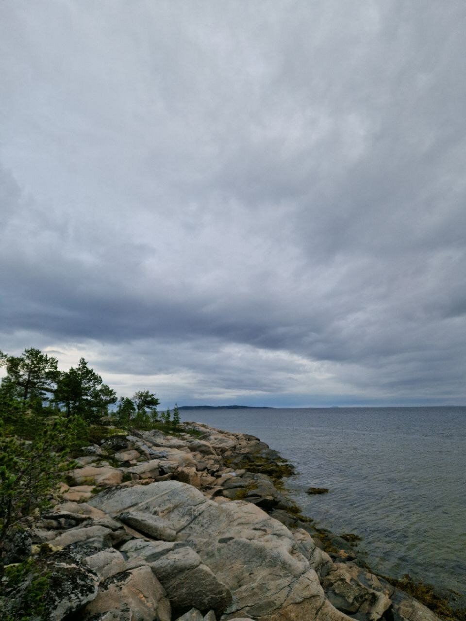 Фото Белый кит