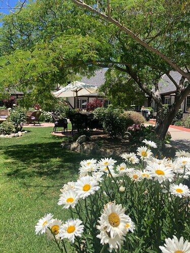 Апартаменты The M Solvang в Солванге