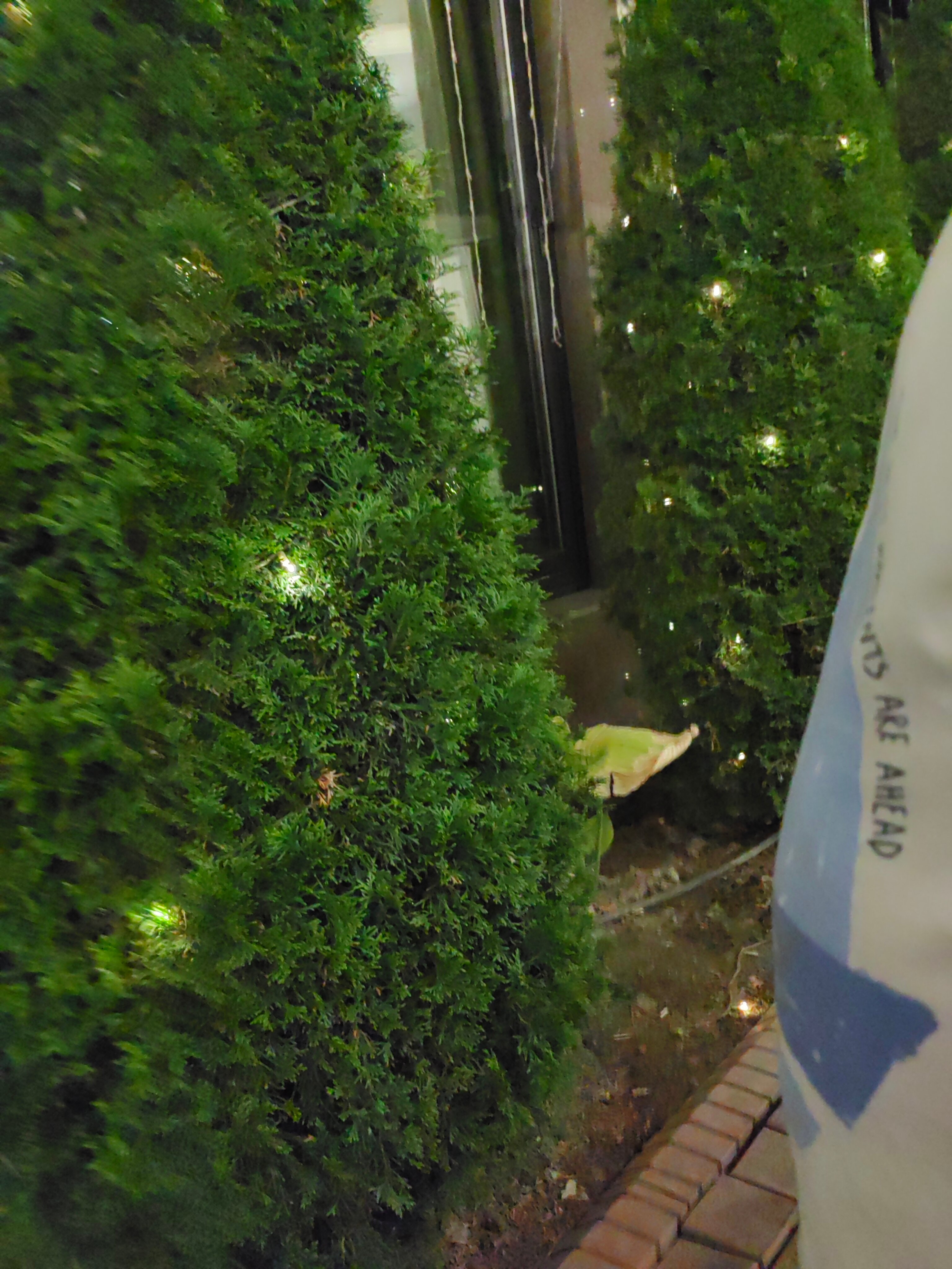 Фото Oasis Residence