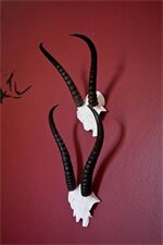 Фото Earthbound B&b