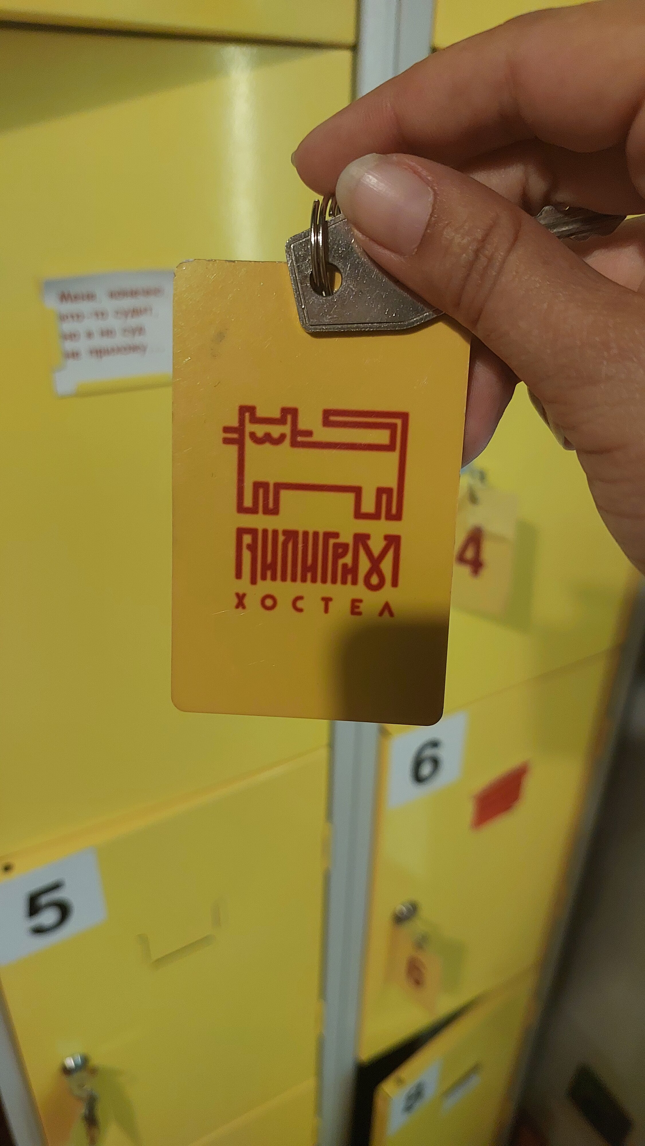 Фото Пилигрим