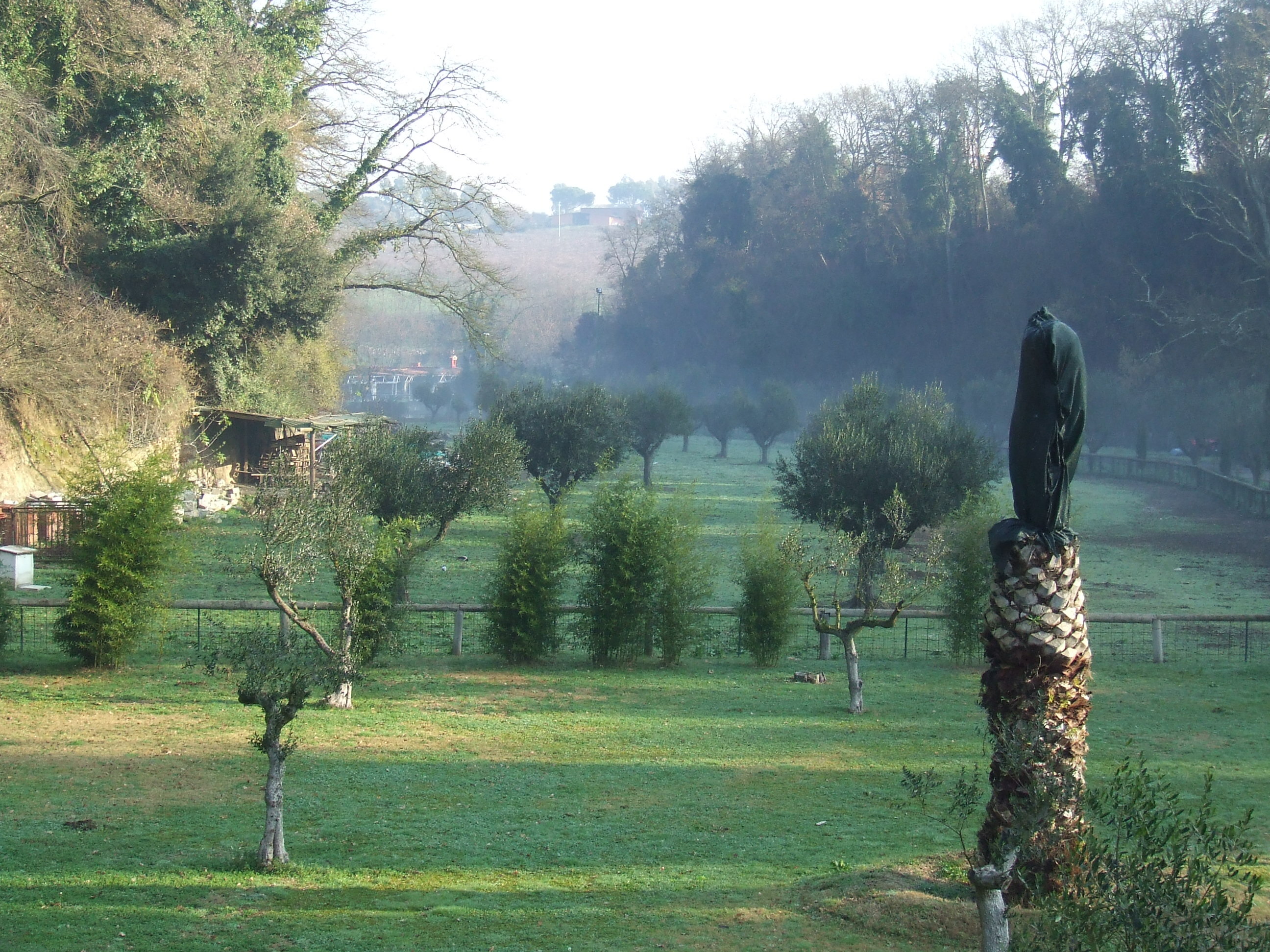 Фото Veio Residence Resort