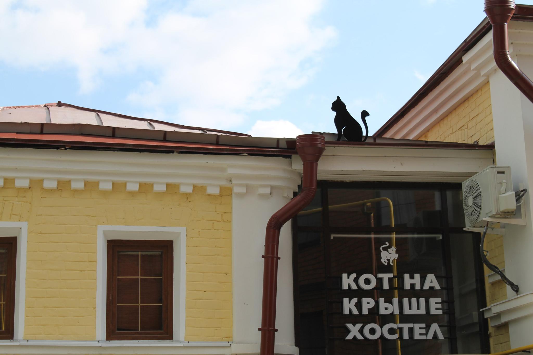 Фото Кот на крыше