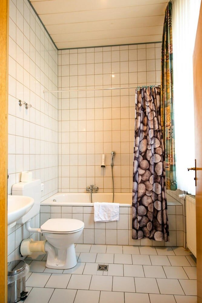 Фото Hotel Fränkischer Hof