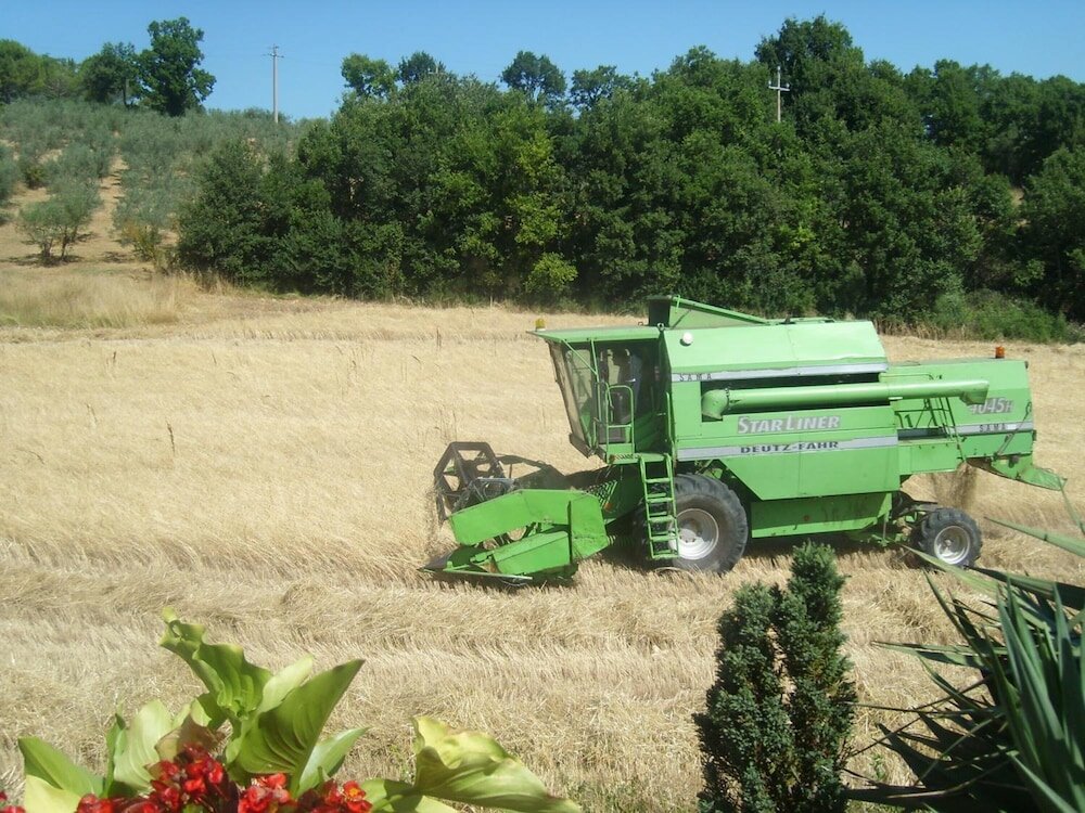 Фото Fattoria Del Quondam