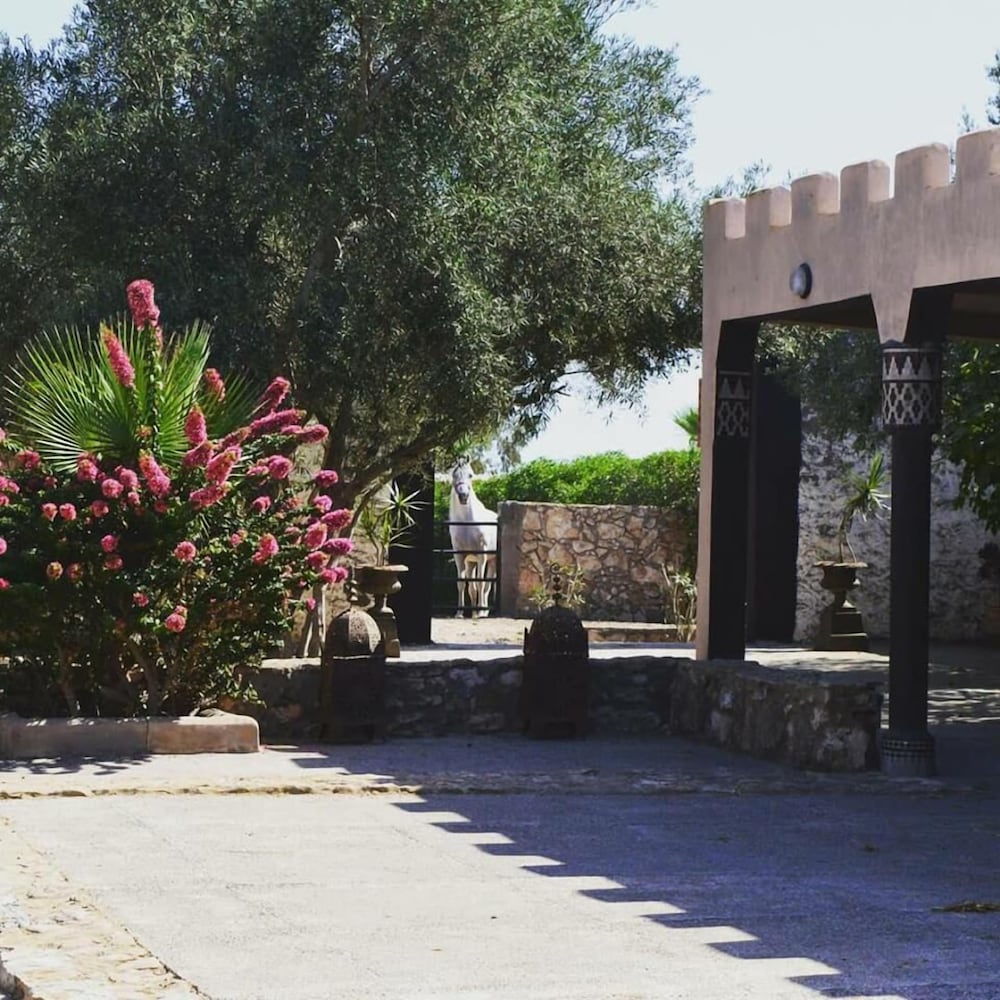 Фото Koheilan Oriental Lodge Farm