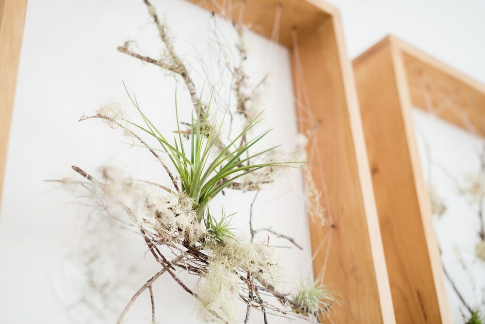 Фото Apartamentos Praça Amarela