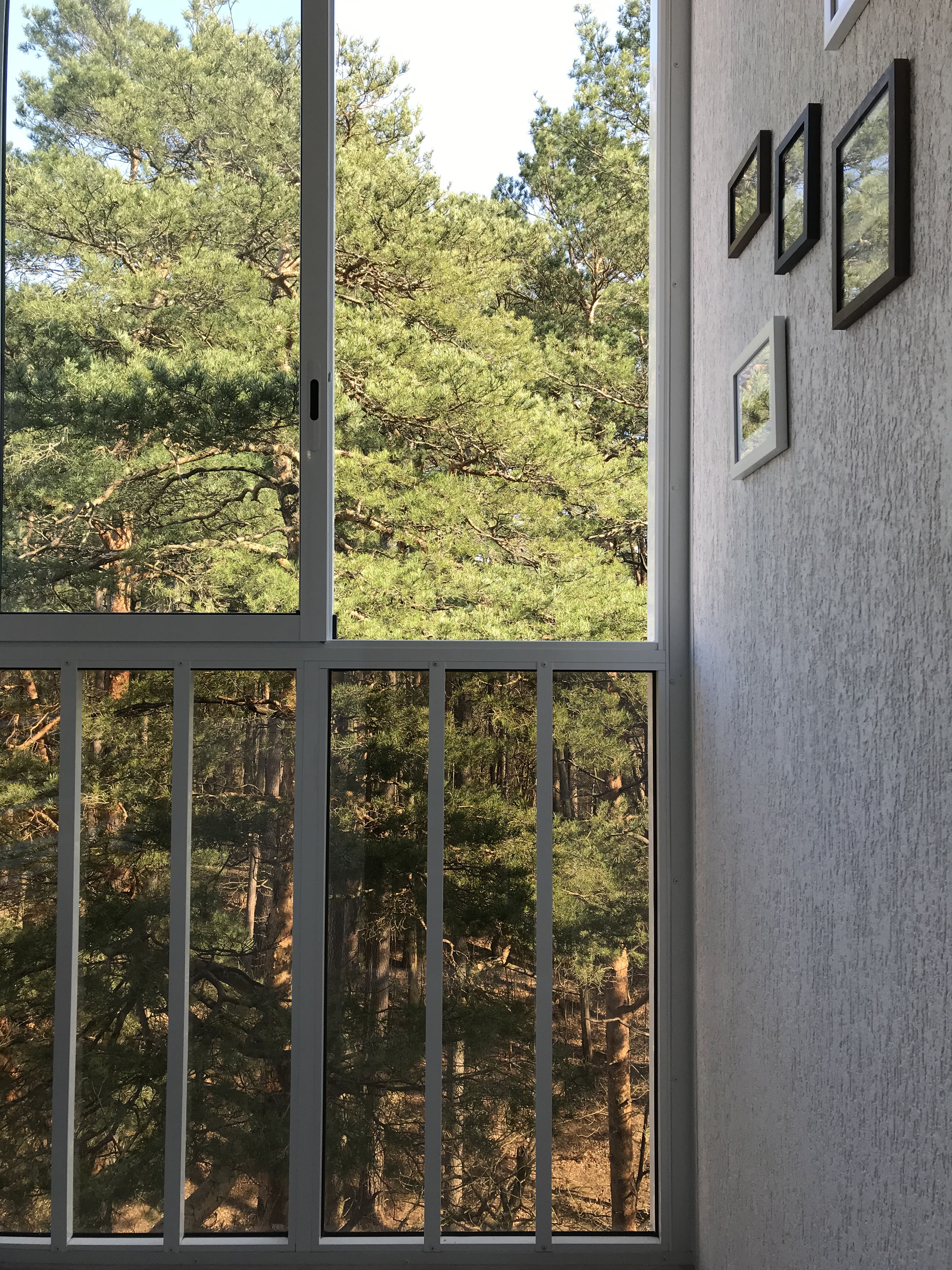 Фото Апартаменты Iren у Озера Тихое