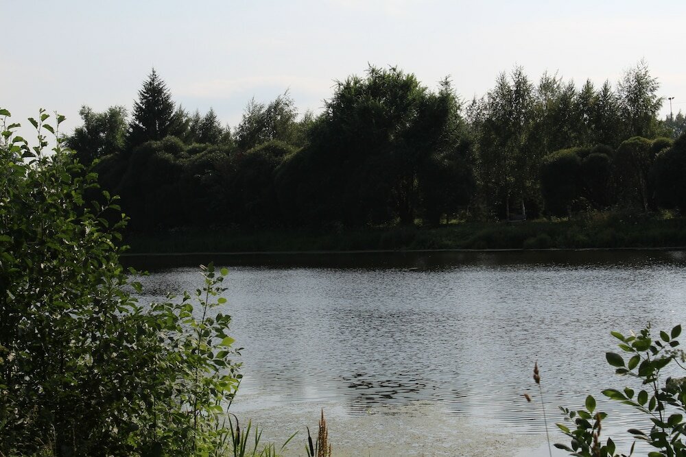 Фото Ясенки