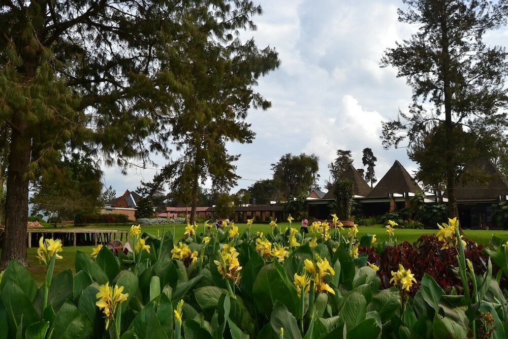 Фото White Horse Inn