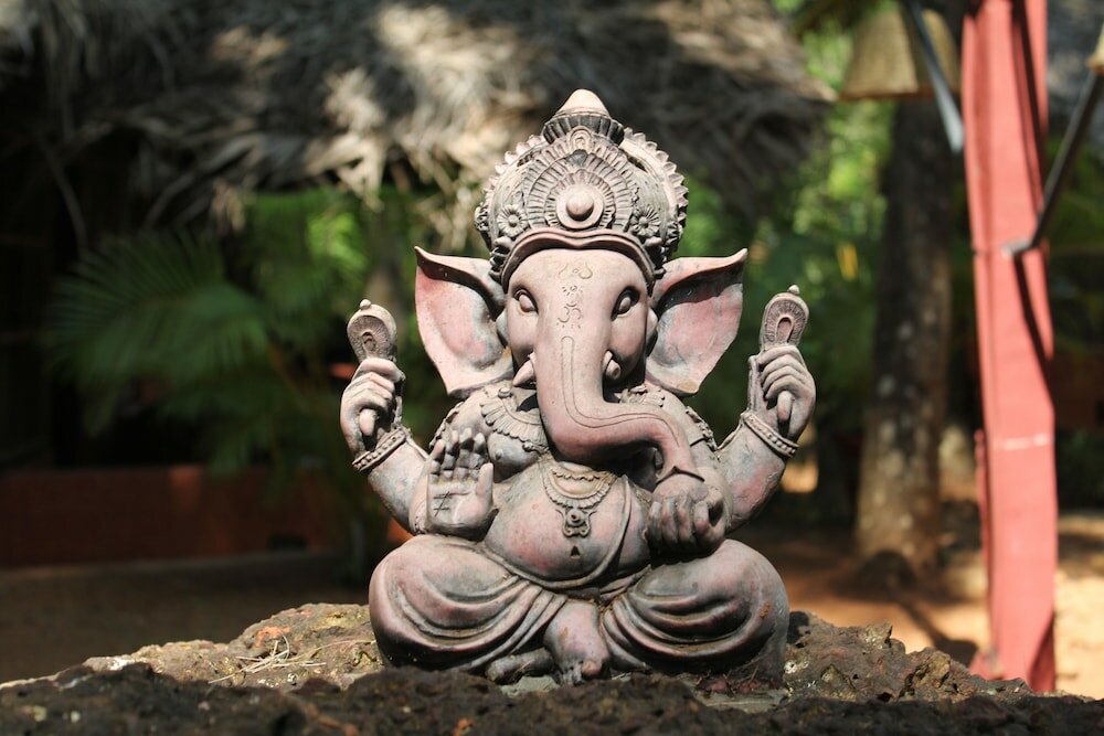 Фото Palm Trees Ayurvedic Heritage