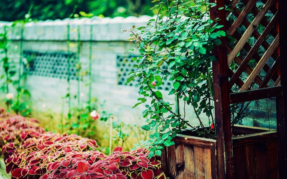 Фото Tea Rhythm House Yangshuo