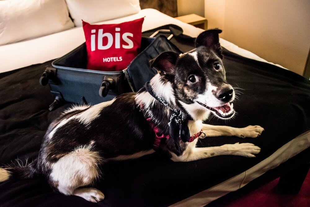 Фото Ibis Vilnius Centre