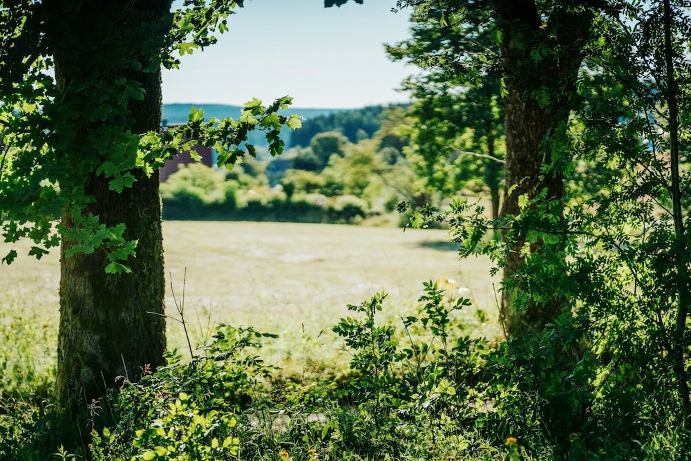 Фото Hotel Hasselhof Superior