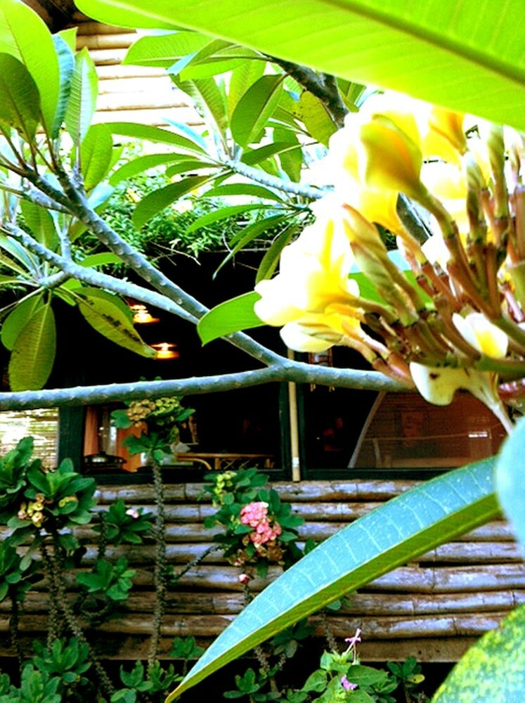 Фото The Village House