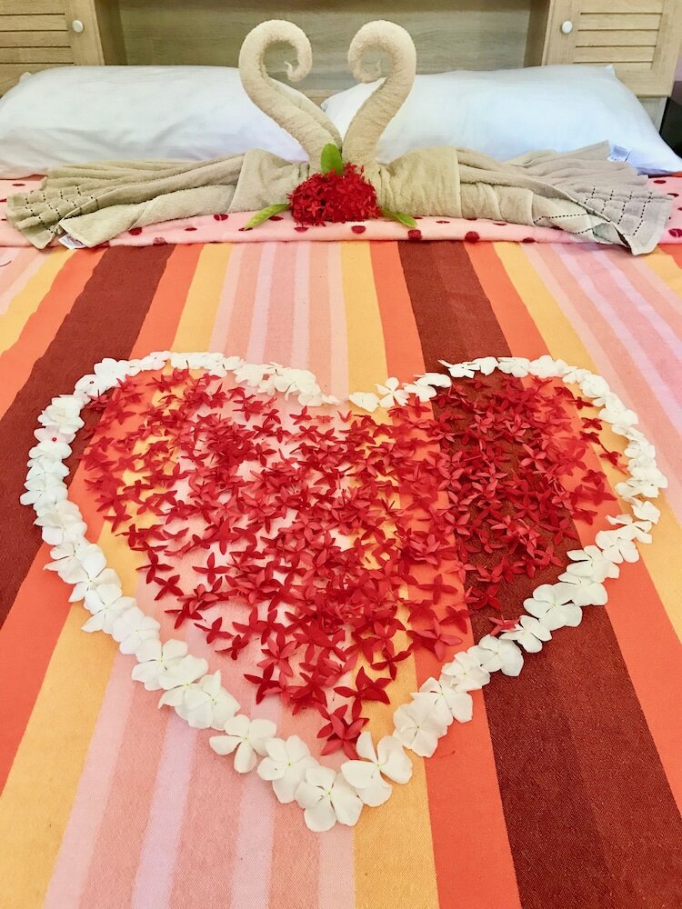 Фото Ocean Vibes Guesthouse