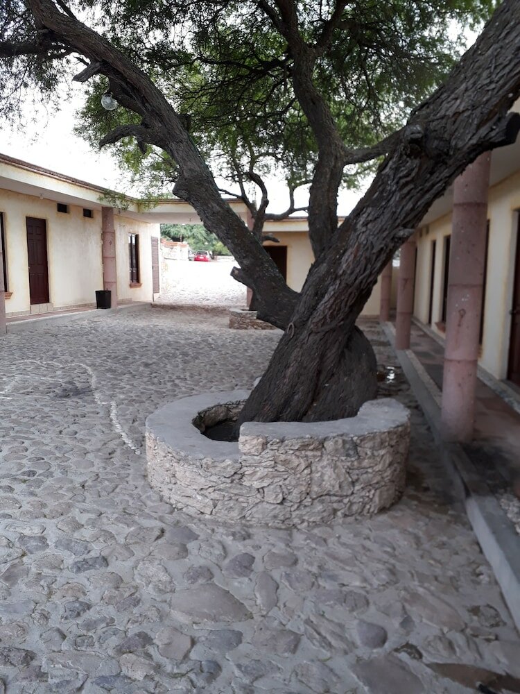 Фото Hotel Villa Aurora