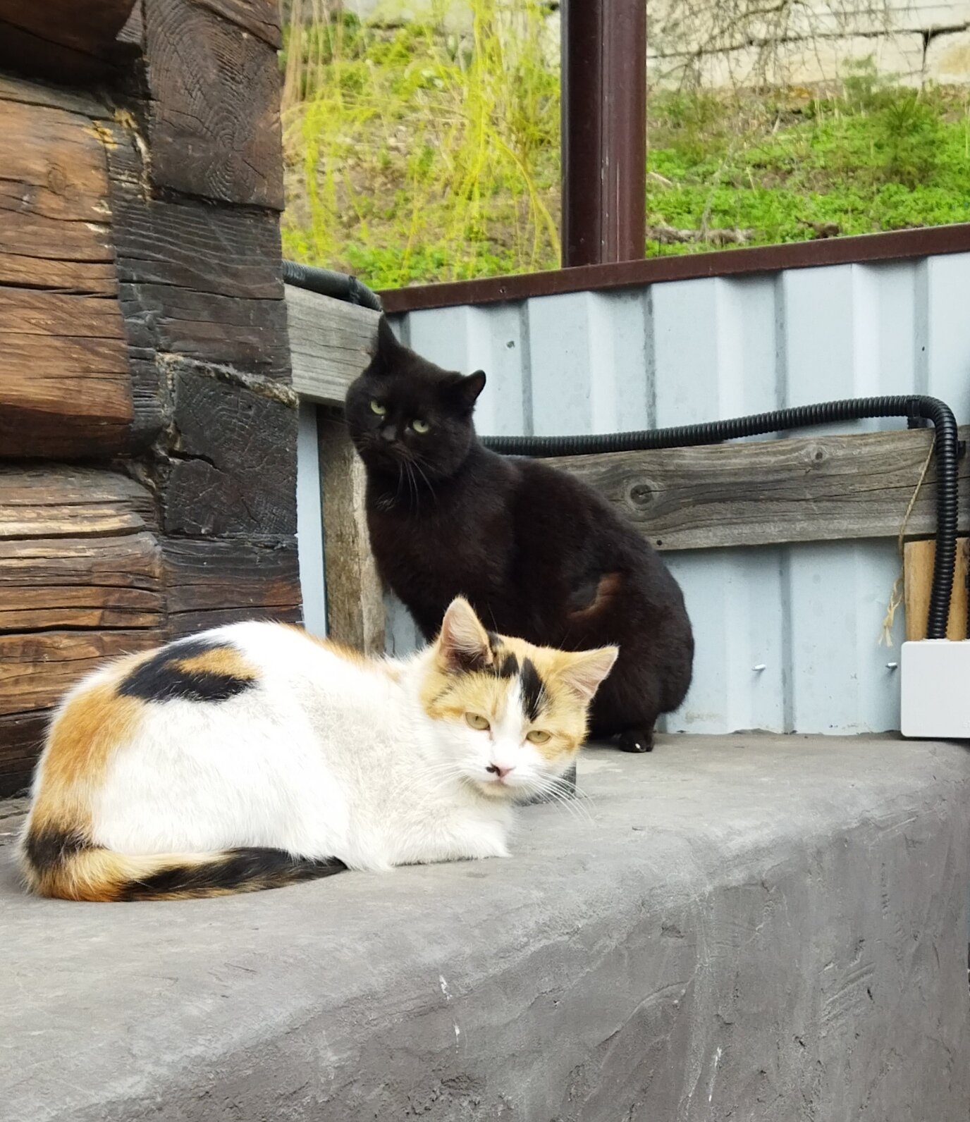 Фото Подворье