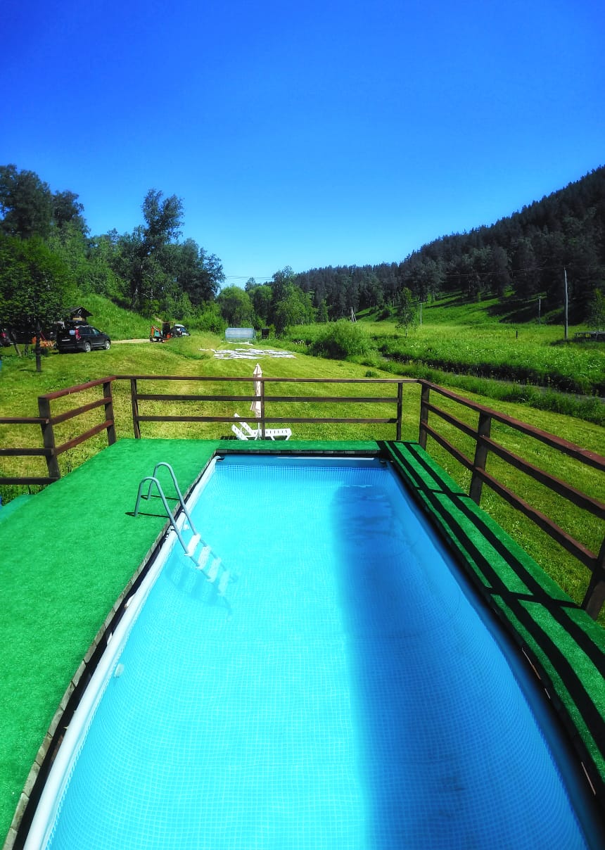 Фото Большие Коты